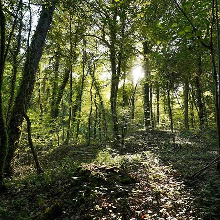 Orval16 Bed and Breakfast Abbaye d'Orval Εξωτερικό φωτογραφία