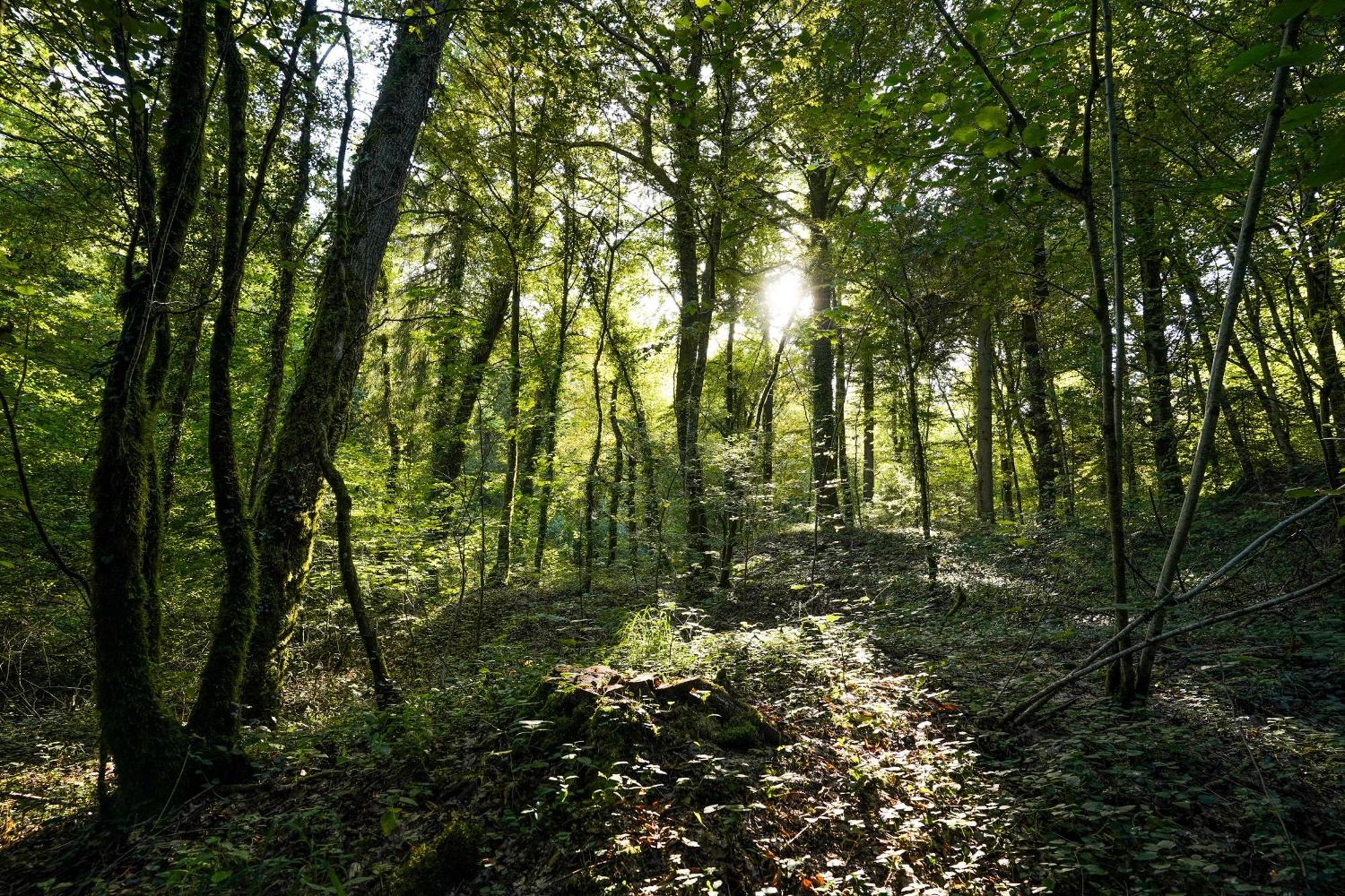 Orval16 Bed and Breakfast Abbaye d'Orval Εξωτερικό φωτογραφία